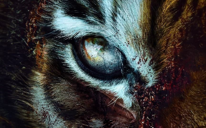 Зомби-тигр в трейлере «Ашин с Севера» - спецвыпуска корейского зомби-сериала «Королевство»